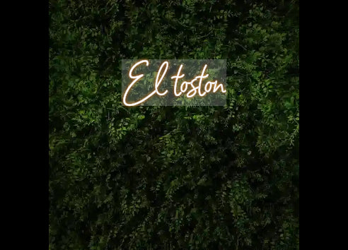 Custom Neon: El toston - GEEKNEON