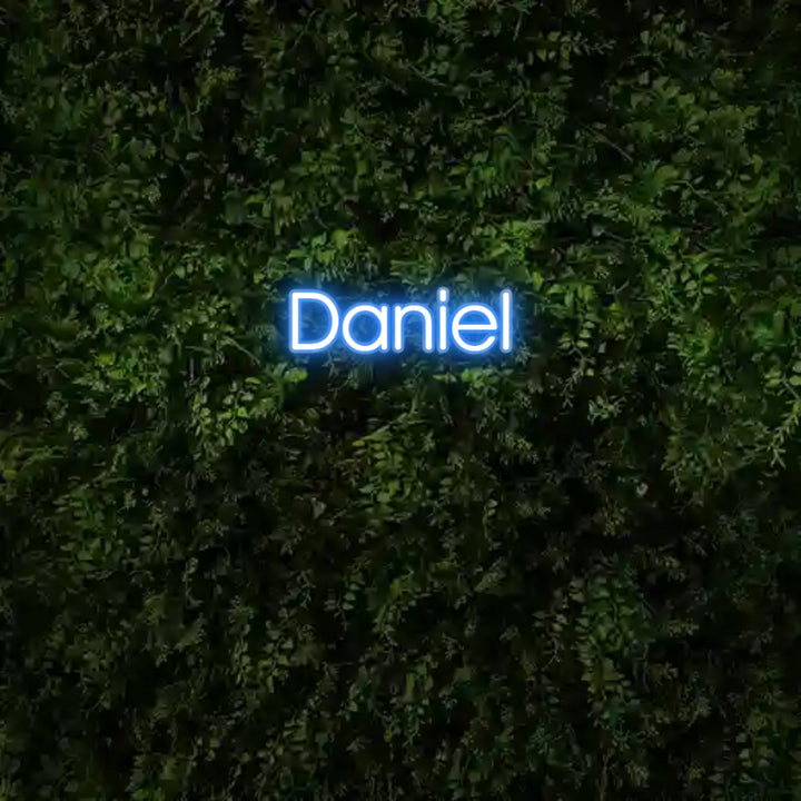 Custom Neon: Daniel - GEEKNEON