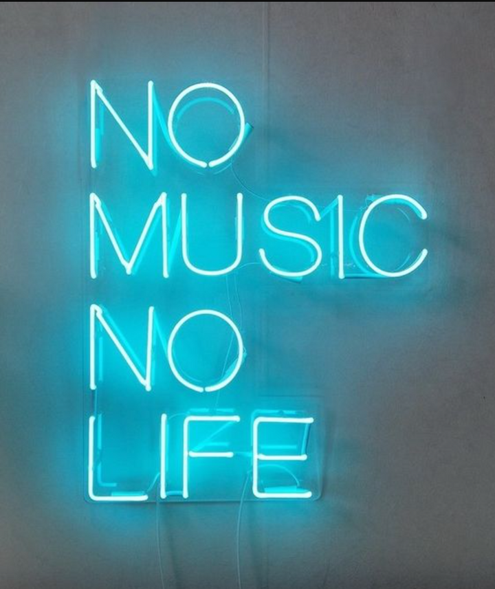 No Music No Life Neon Sign - GEEKNEON